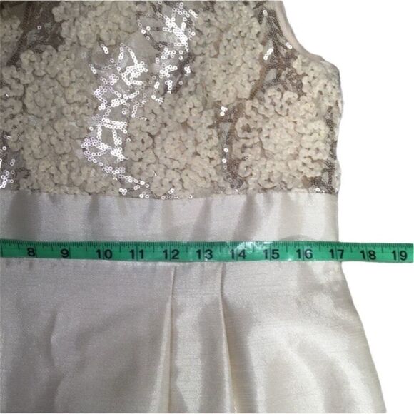 TAHARI ARTHUR S. LEVINE LILY CHAMPAGNE SEQUIN‎ SLEEVELESS SHEATH DRESS 12 - Picture 10 of 13